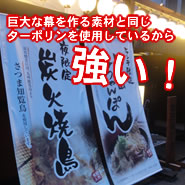 巨大な幕を作る素材と同じターポリンを使用しているから強い!