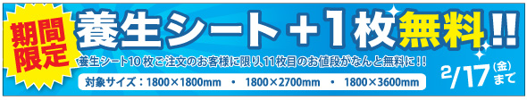 養生シート2枚以上で送料無料