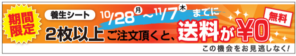 養生シート2枚以上で送料無料